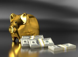 Steps to Borrow a Payday Loan piggy, bank, money